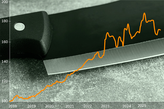 Cuchillas y cuchillos industriales: un corte profundo a la inestabilidad