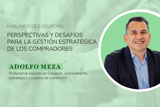 Sostenibilidad en Compras: Perspectivas y desafíos para la gestión estratégica de los compradores