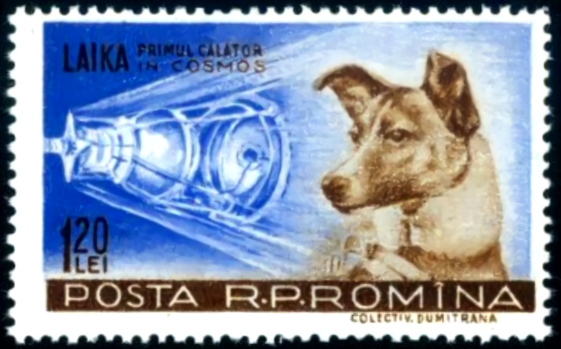 Postal rumana. Su leyenda dice «Laika, primera viajera espacial».