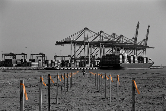 ¿Por qué el puerto de Chancay cambia la ruta de importación a Asia?